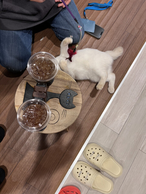 Hogoneko Cafe Hidamari Go photo 3