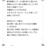 保護猫カフェ ひだまり号 - ボランティアさん募集中!!