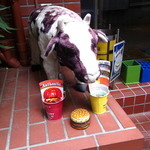 オーセンティック - 