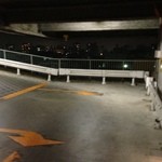 楽園ビアガーデン - 