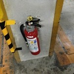 楽園ビアガーデン - 