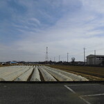 レストラン蘭  - 外観