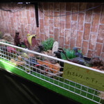 レストラン蘭  - 外観