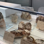 ラトリエ ドゥ プレジール - 