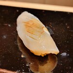 Shimbashi Sushi Seishin - ヤリイカ