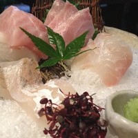 九つ井 本店 - 鱸　真鯛
