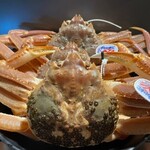 Kaisen Izakaya Genki - ずわい蟹