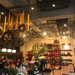 Nicolai Bergmann NOMU - 