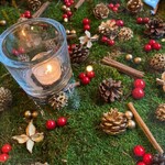 Nicolai Bergmann NOMU - 