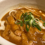 Kare Udon Hikari - 