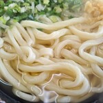 196366131 - かけうどん(大)