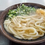 196366123 - かけうどん(大)