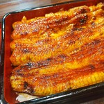 うなぎ 魚政 - うな重、ブランド鰻(坂東太郎) 特上