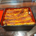 うなぎ 魚政 - うな重、ブランド鰻(坂東太郎) 特上