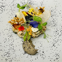 代官山ASO チェレステ 日本橋店 - 