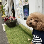 サッカバッカ - お店の前でｗ