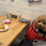 サッカバッカ - 早くちょーだいｗ