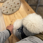 サッカバッカ - ＰＵＡちゃん④