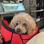 PARKER COFFEE STAND - シェリ②