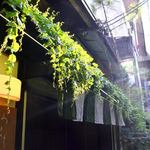 京料理 おとなり - 外観（2012年6月）。