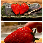 温石 - 静岡のいちご きらぴ香