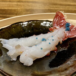 温石 - 活けの赤座海老 焼きしゃぶ 赤座海老の卵