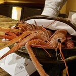 温石 - 活きた赤座海老たち