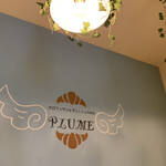 PLUME - 