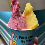 フォンタナ ジェラート - 