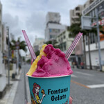 フォンタナ ジェラート - 