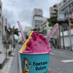 フォンタナ ジェラート - 