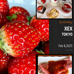 XEX TOKYO / Salvatore Cuomo Bros. - 