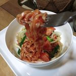 風遊斎 - ピリ辛 トマト スバの麺