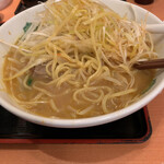 Hidakaya - 麺は不思議な四角麺。スープ、ネギ。辛味噌みんなパンチ不足で(／. _.＼)