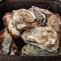 いけす無門 新宿 - 