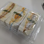 ハサミヤオオトモ - (2023.02)