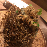 ル スプートニク - 