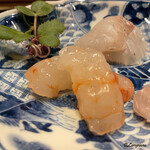 御料理 寺沢 - 太マッチョな特大のボタン海老