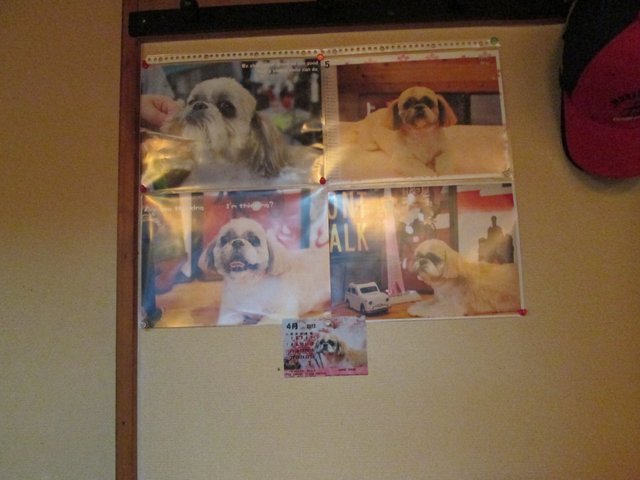 よしだ - 東室蘭（食堂）の写真