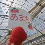 花立山ファーム - あまおう