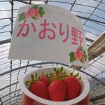 花立山ファーム - かおり野