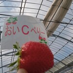 花立山ファーム - おいＣベリー