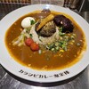 カラシビカレー 鬼金棒