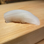 鮨 尚充 - アオリイカ