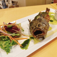 ブラカリイタリア料理店 - 