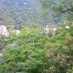 TJK箱根の森 - 宮ノ下辺りを眺望