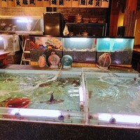 いけす無門 新宿 - 