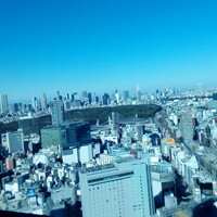 タワーズバー ベロビスト - 