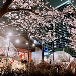 Mi tiempo - 夜の桜テラス