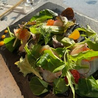 LITORANEO - 鮮魚のカルパッチョ